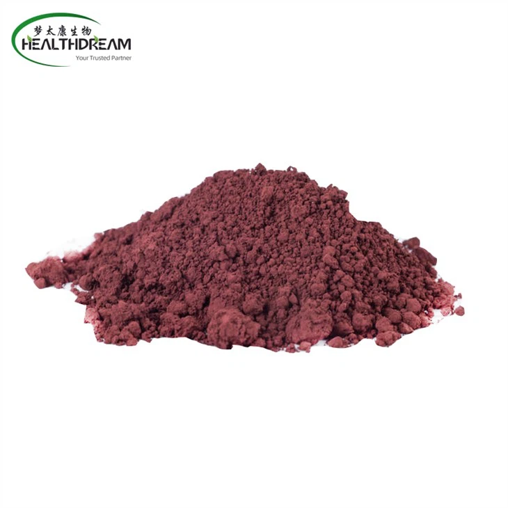 Grape-Seed-Extract-2